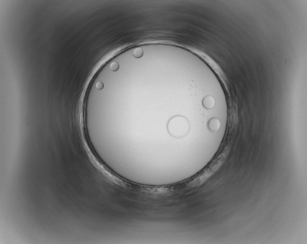X0000115780957200911131004