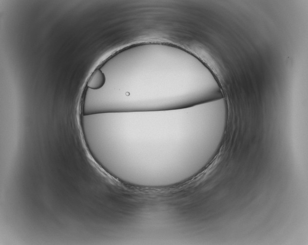 X0000115780958200911131004
