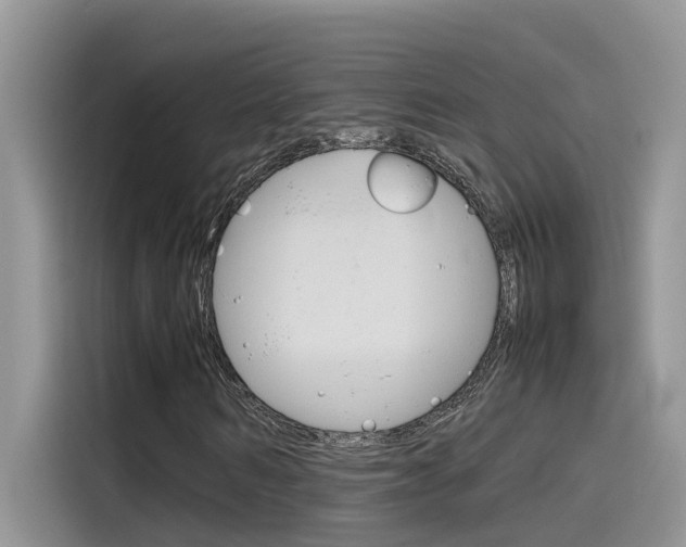 X0000115780962200911131003