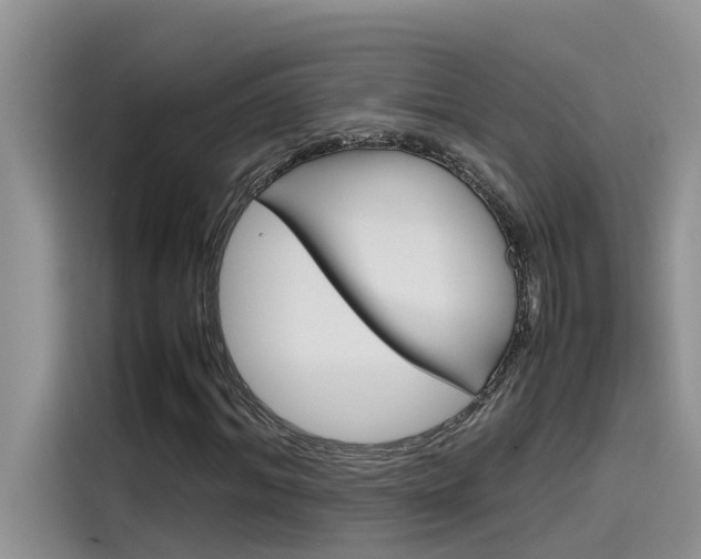 X0000115780964200911131003