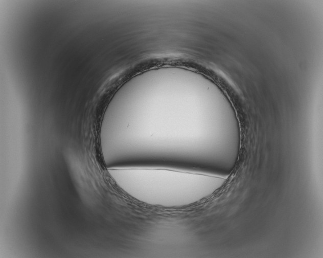 X0000115780967200911131003