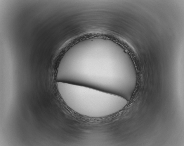 X0000115780968200911131003