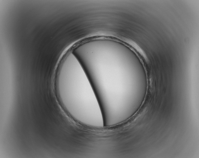 X0000115780972200911131003