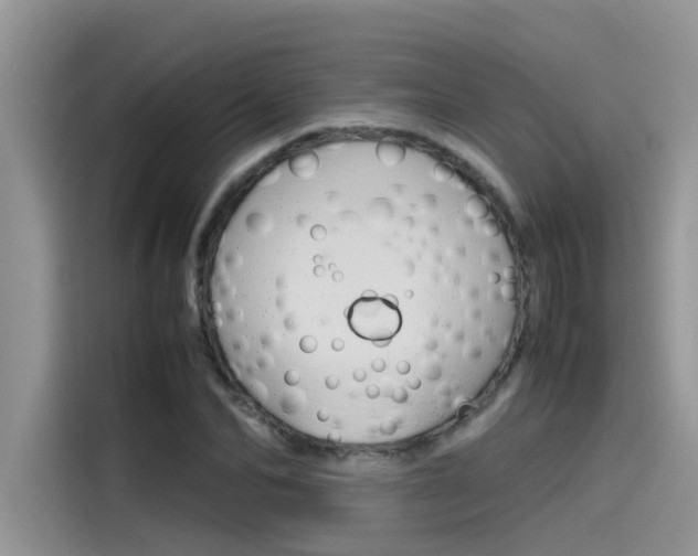 X0000115780974200911131003