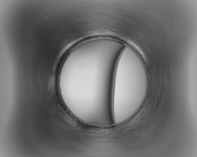 X0000115780975200911131003