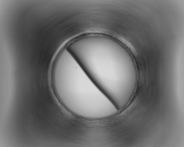 X0000115780976200911131003
