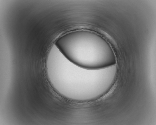 X0000115780977200911131003
