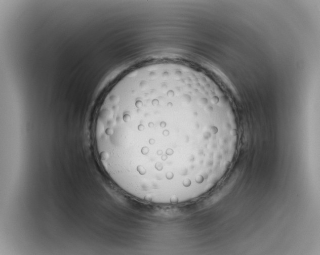 X0000115780978200911131003