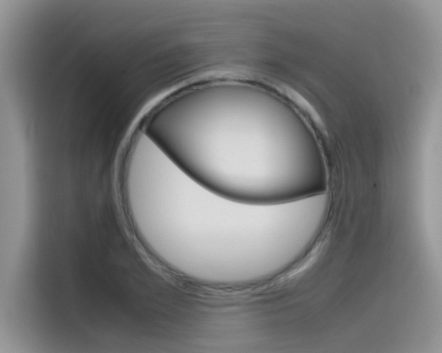 X0000115780981200911131003
