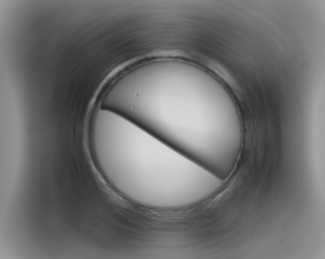 X0000115780984200911131003