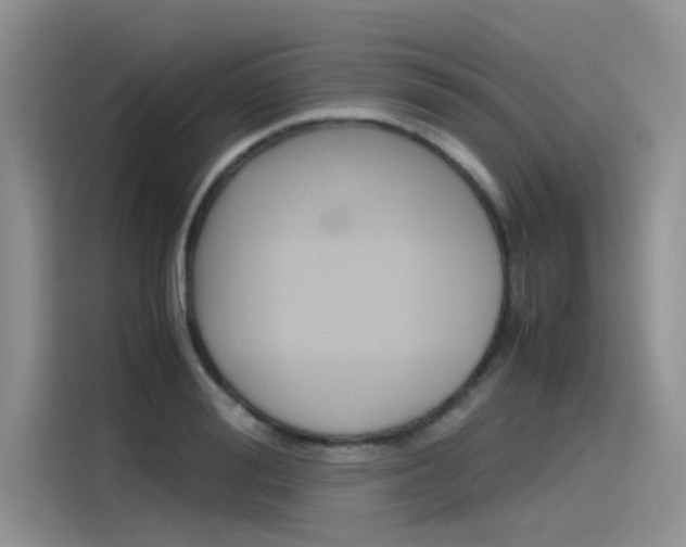 X0000115780988200911131003