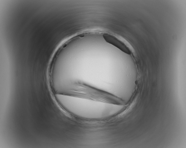 X0000115780989200911131003