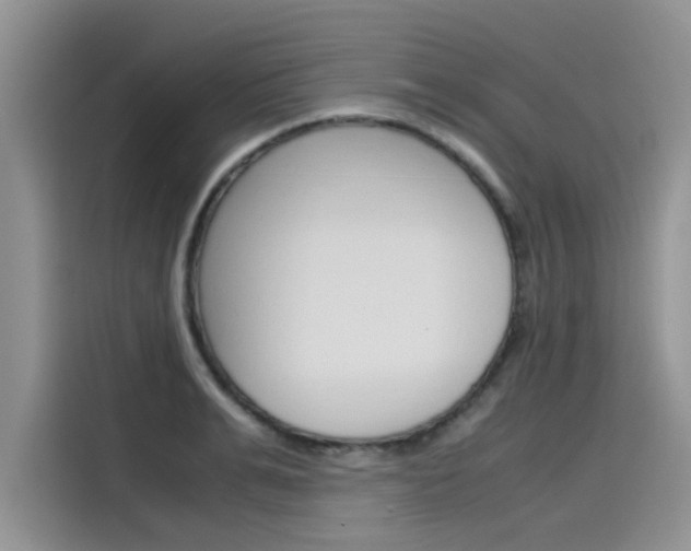 X0000115780991200911131003