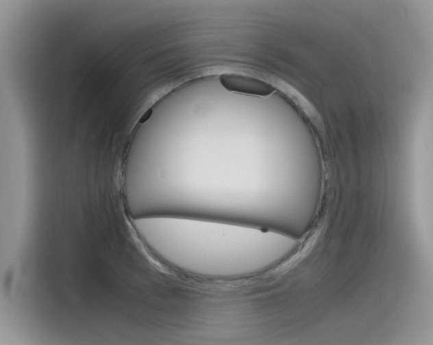 X0000115780993200911131003