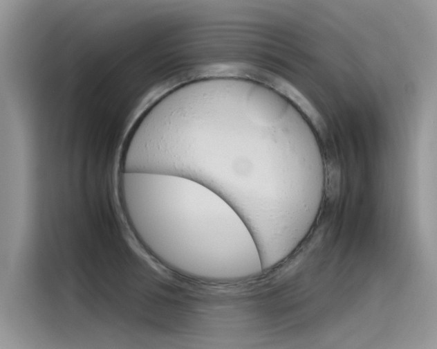 X0000115780994200911131003