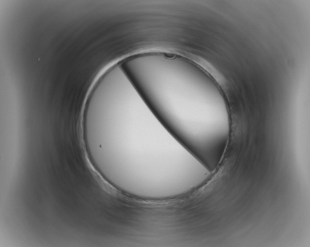 X0000115780996200911131003