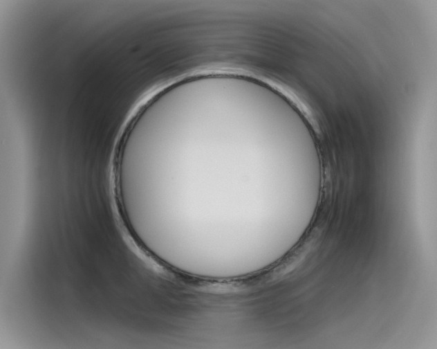 X0000115780998200911131002