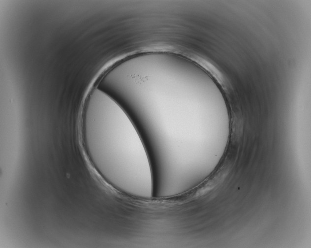 X0000115781000200911131002