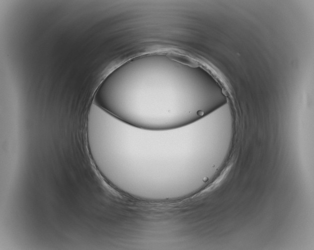 X0000115781001200911131002