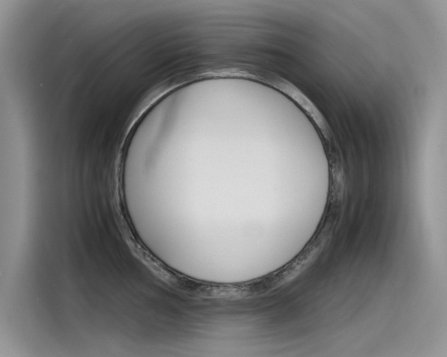 X0000115781002200911131002