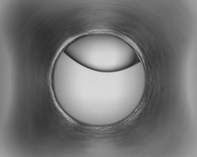 X0000115781005200911131002