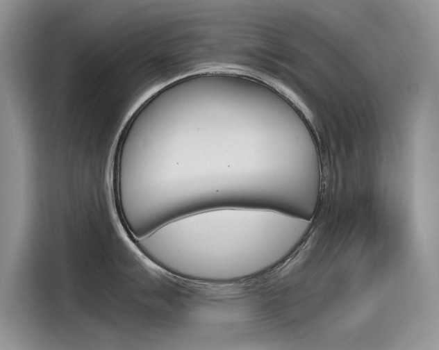 X0000115781007200911131002