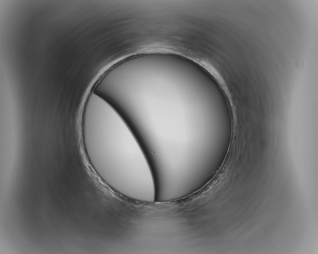 X0000115781008200911131002
