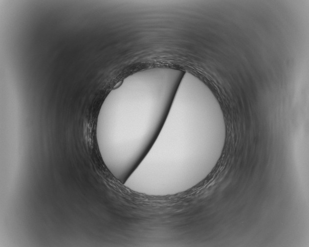 X0000115781010200911131002