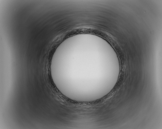 X0000115781014200911131002