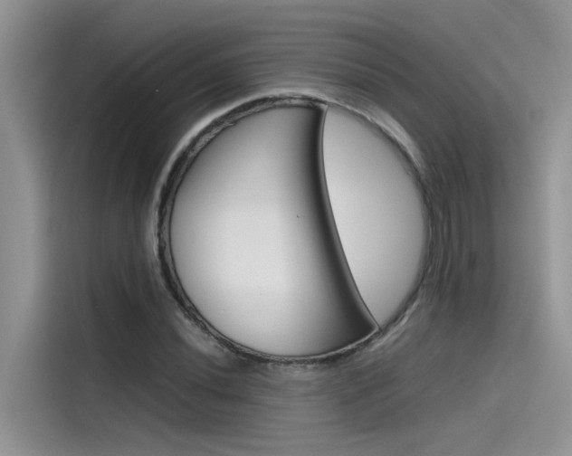 X0000115781020200911131002