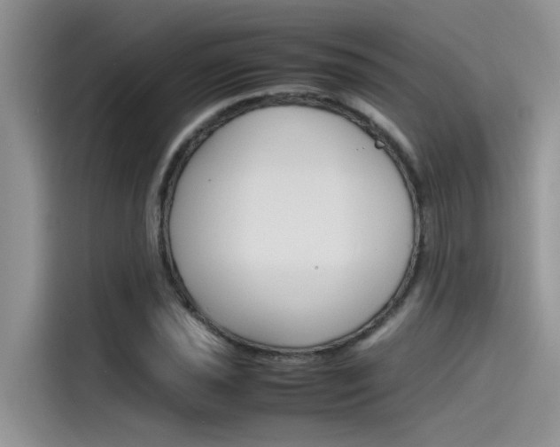X0000115781021200911131002