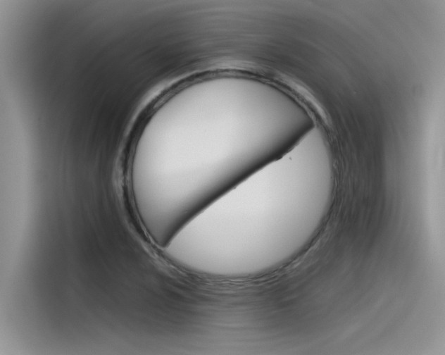 X0000115781024200911131002