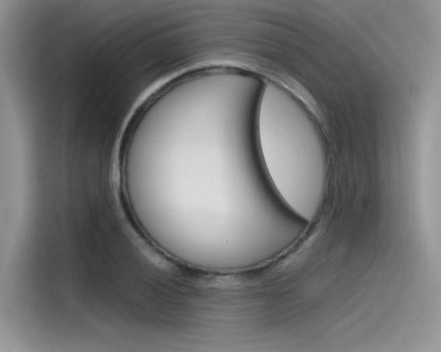 X0000115781028200911131002