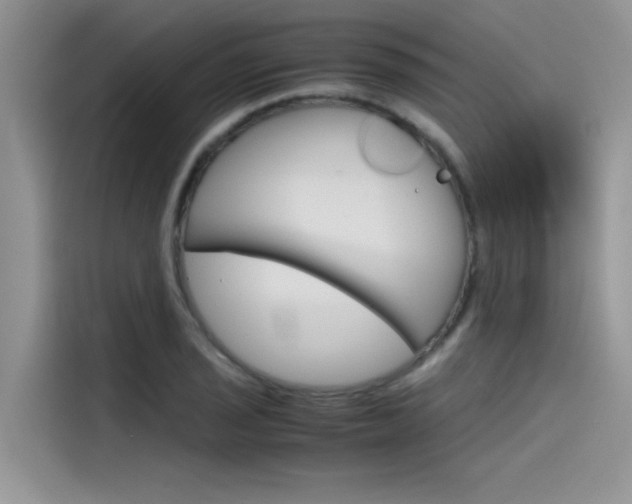 X0000115781029200911131002