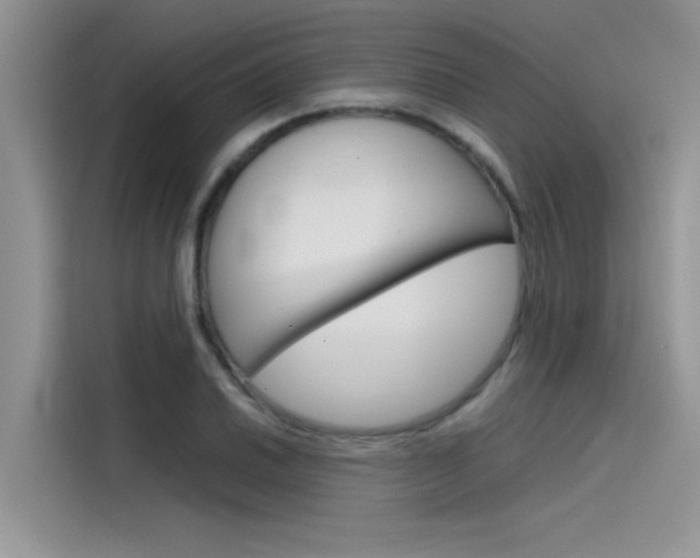 X0000115781030200911131002