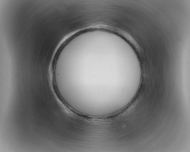 X0000115781032200911131002
