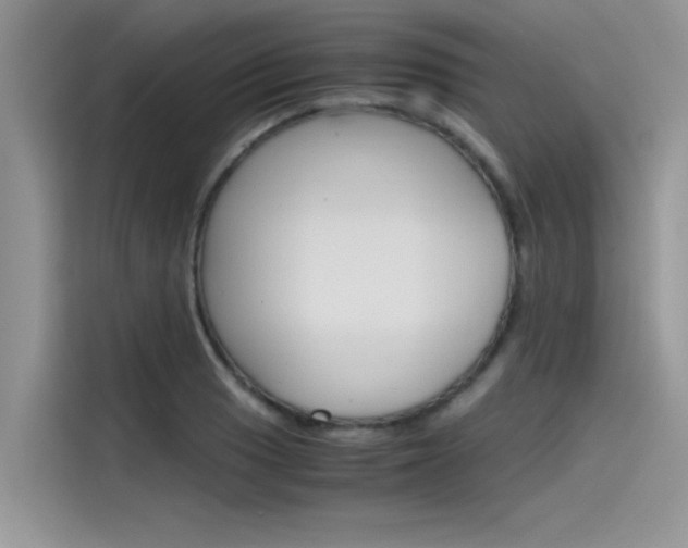 X0000115781033200911131002