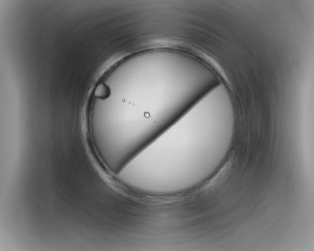X0000115781034200911131002