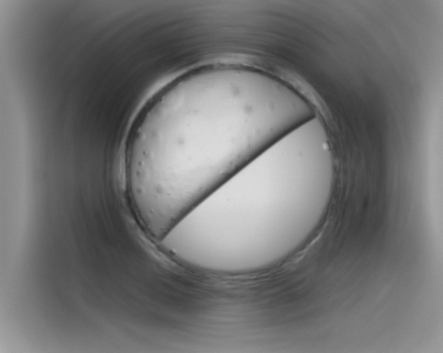 X0000115781036200911131002