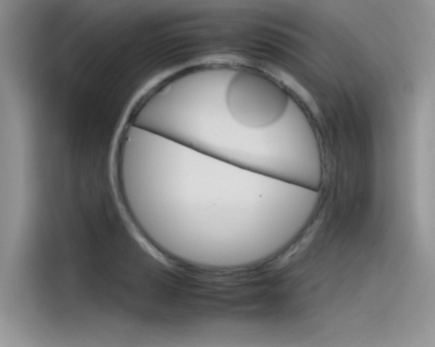 X0000115781037200911131002