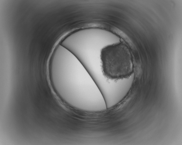 X0000115781039200911131002