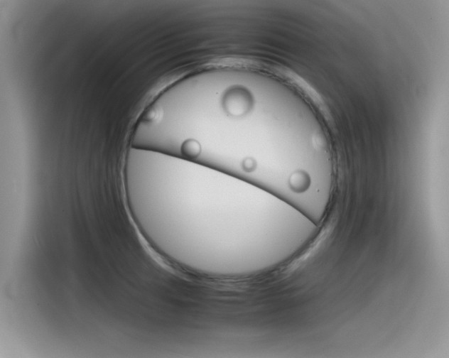 X0000115781041200911131002