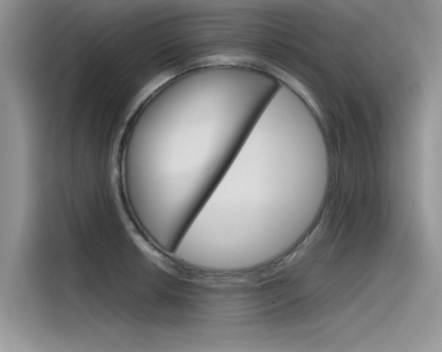 X0000115781042200911131002