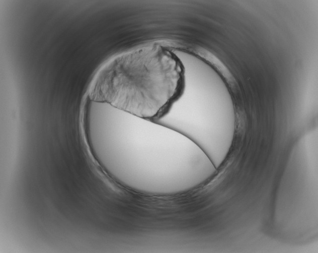 X0000115781043200911131002