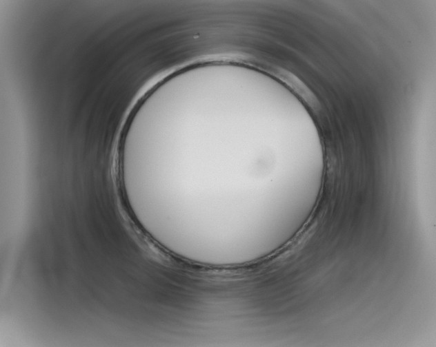 X0000115781044200911131002