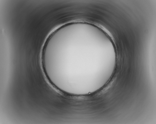 X0000115781045200911131002