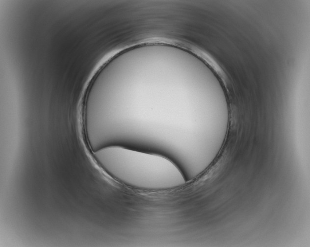 X0000115781048200911131002