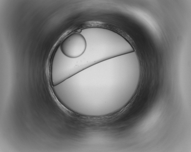 X0000115781054200911131002