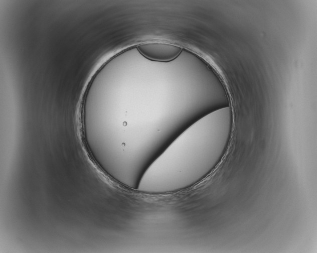 X0000115781056200911131002