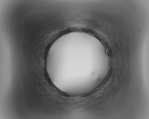 X0000115781061200911131002